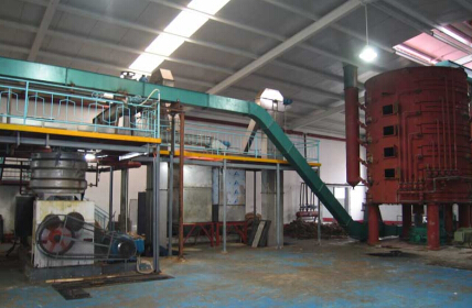 jatropha oil plant
