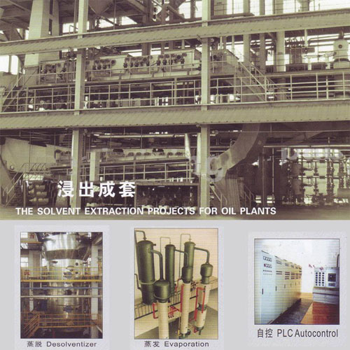 Oil Plants