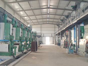 Oil Plant