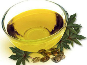 castor oil extraction process
